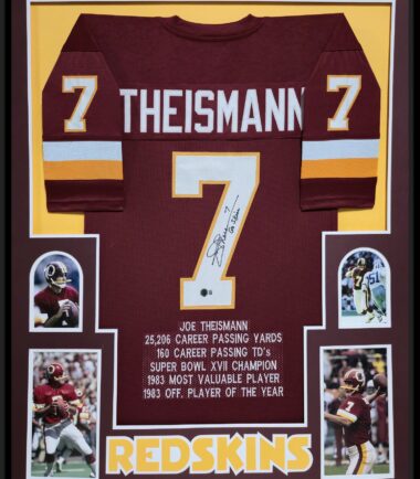 Framed Washington Joe Theismann Signed Stat Jersey BAS Authenticated