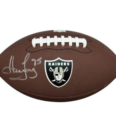 Oakland Raiders Howie Long Autographed NFL Logo Football BAS Authenticated