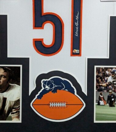 FRAMED-CHICAGO-BEARS-DICK-BUTKUS-AUTOGRAPHED-SIGNED-JERSEY-BECKETT-HOLO-156001648103-2