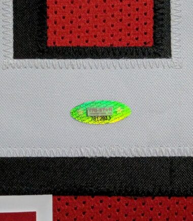 FRAMED-IN-SUEDE-SAN-FRANCISCO-49ERS-JERRY-RICE-AUTOGRAPHED-JERSEY-TRISTAR-HOLO-156000232123-4