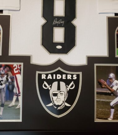 FRAMED-OAKLAND-RAIDERS-RAY-GUY-AUTOGRAPHED-SIGNED-JERSEY-JSA-COA-165870197113-2