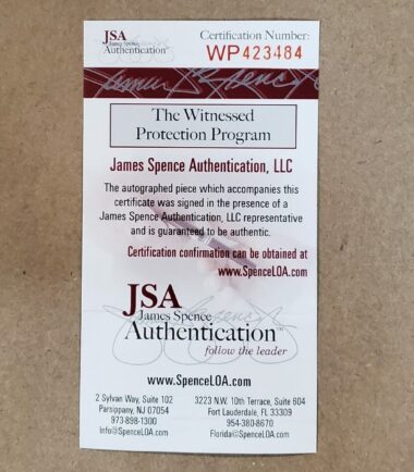 FRAMED-OAKLAND-RAIDERS-RAY-GUY-AUTOGRAPHED-SIGNED-JERSEY-JSA-COA-165870197113-4