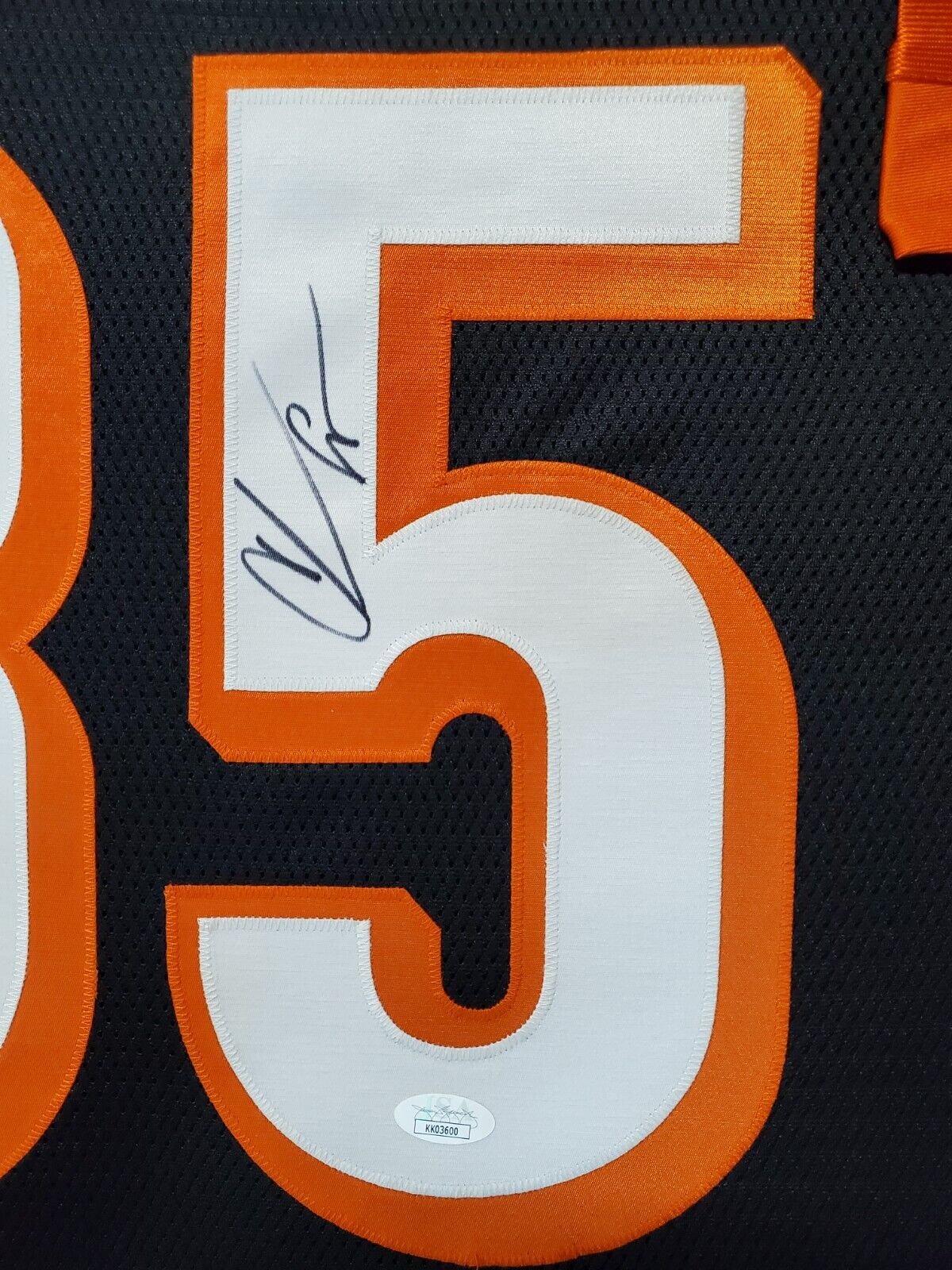 FRAMED CINCINNATI BENGALS CHAD OCHOCINCO JOHNSON AUTOGRAPHED JERSEY JSA