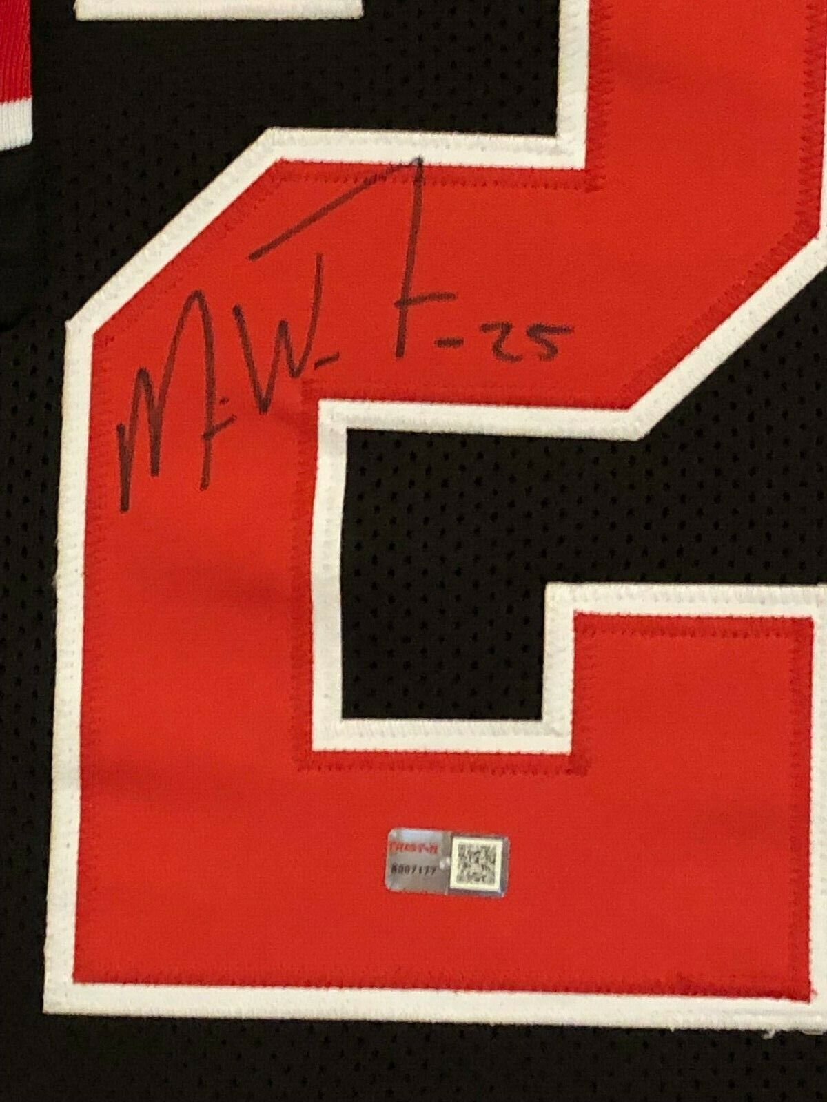 FRAMED OHIO STATE BUCKEYES MIKE WEBER AUTOGRAPHED SIGNED JERSEY TRISTAR
