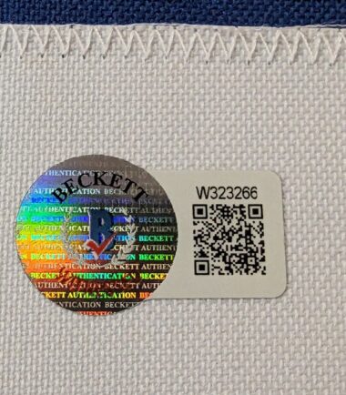 FRAMED-BUFFALO-DAMAR-HAMLIN-AUTOGRAPHED-SIGNED-JERSEY-BECKETT-HOLO-155733956087-4