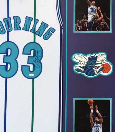 FRAMED-CHARLOTTE-HORNETS-ALONZO-MOURNING-SIGNED-JERSEY-JSA-COA-166302985787-2