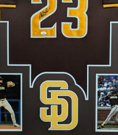 FRAMED-FERNANDO-TATIS-JR-AUTOGRAPHED-SIGNED-SAN-DIEGO-PADRES-JERSEY-JSA-COA-166507406968-2