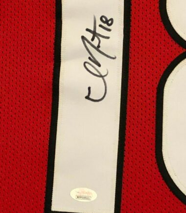 FRAMED-GEORGIA-BULLDOGS-ISAAC-NAUTA-AUTOGRAPHED-SIGNED-JERSEY-JSA-COA-163669352448-3
