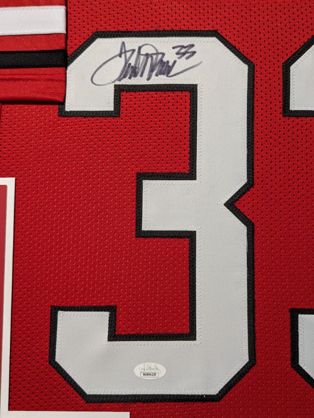 FRAMED BULLDOGS TERRELL DAVIS AUTOGRAPHED JERSEY JSA Tennzone